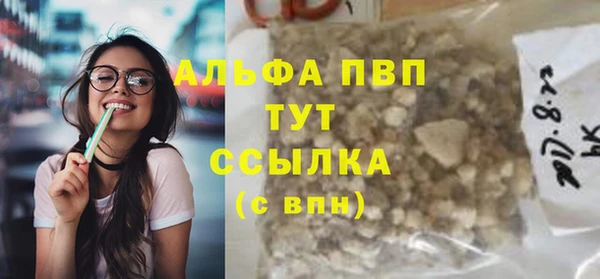 прущие грибы Осинники