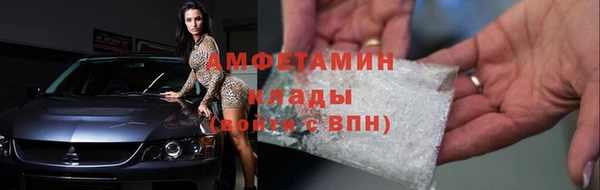 прущие грибы Осинники