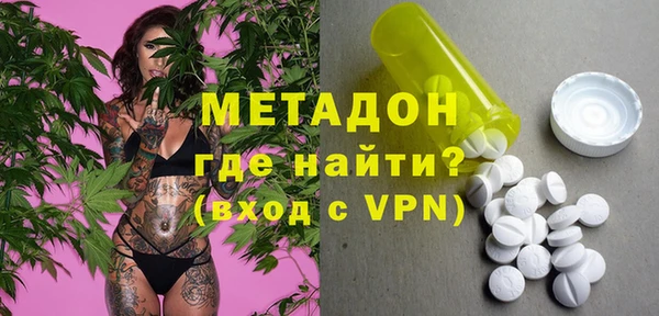 прущие грибы Осинники