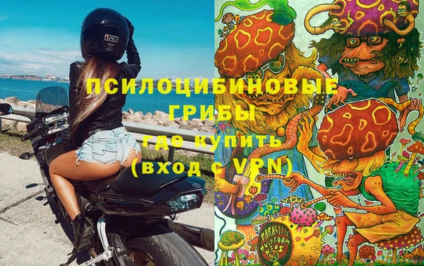 дживик Нягань