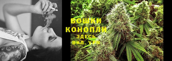 прущие крисы Осташков