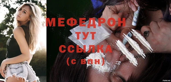 ALPHA PVP Няндома