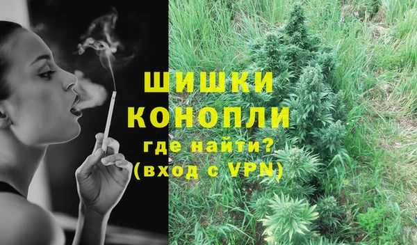 прущие грибы Осинники
