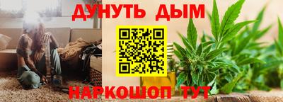 индика Краснознаменск
