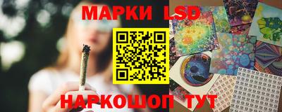 индика Краснознаменск