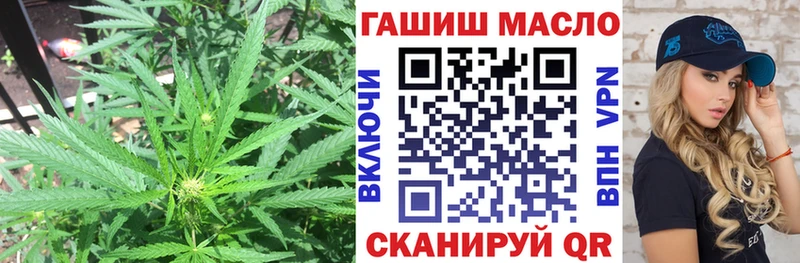 гидра ссылки  продажа наркотиков  Шахты  Дистиллят ТГК THC oil 