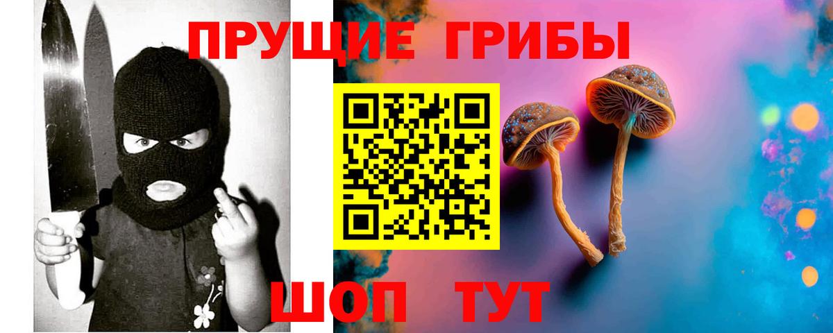 Галлюциногенные грибы Magic Shrooms  Вход с VPN  Шахты  Псилоцибиновые грибы Cubensis 