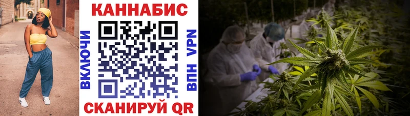 Канабис семена  купить наркотик  Шахты 